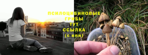 spice Куйбышев